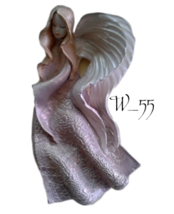 w 55
