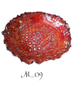M 09